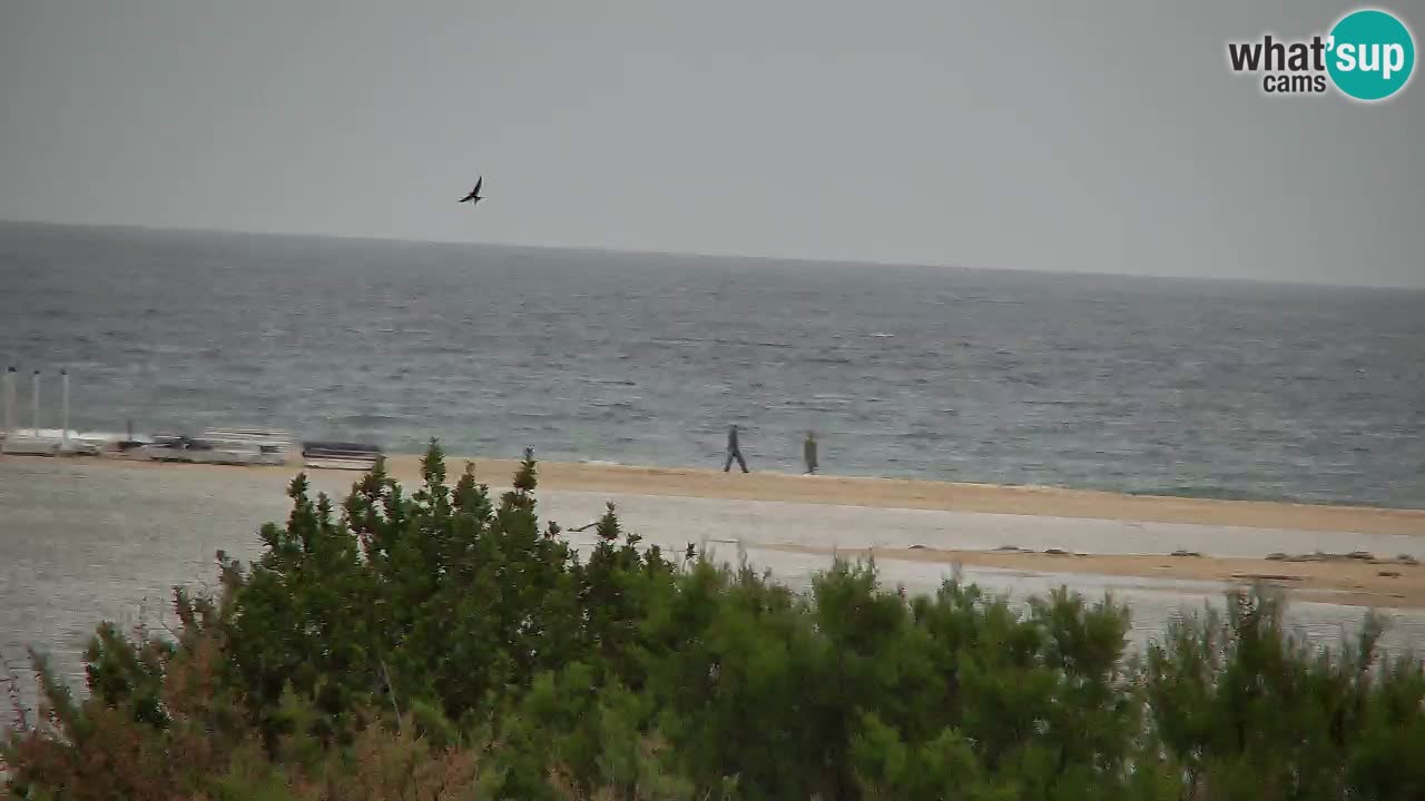 Webcam Chia – Live View of Su Giudeu Beach