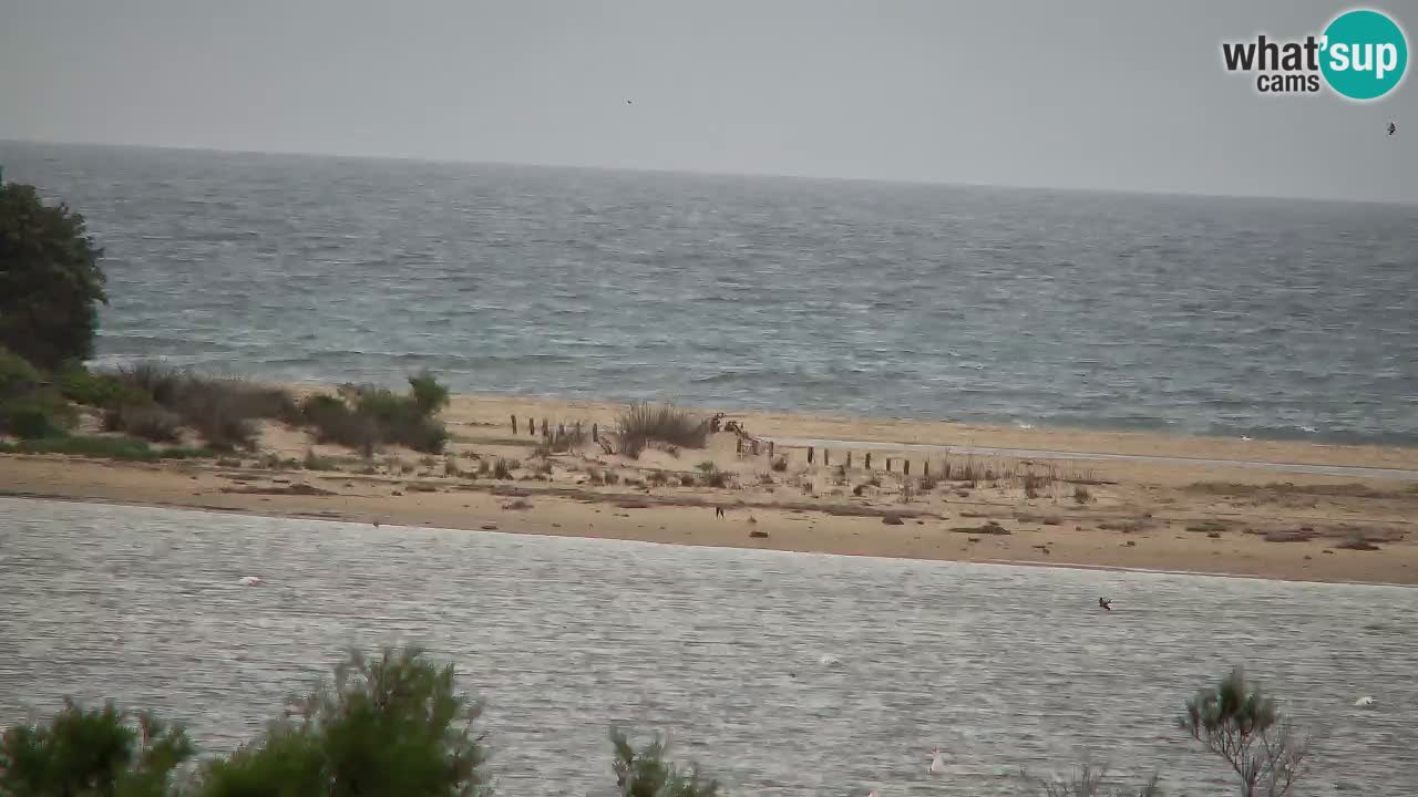Webcam Chia – Liveblick auf den Strand Su Giudeu