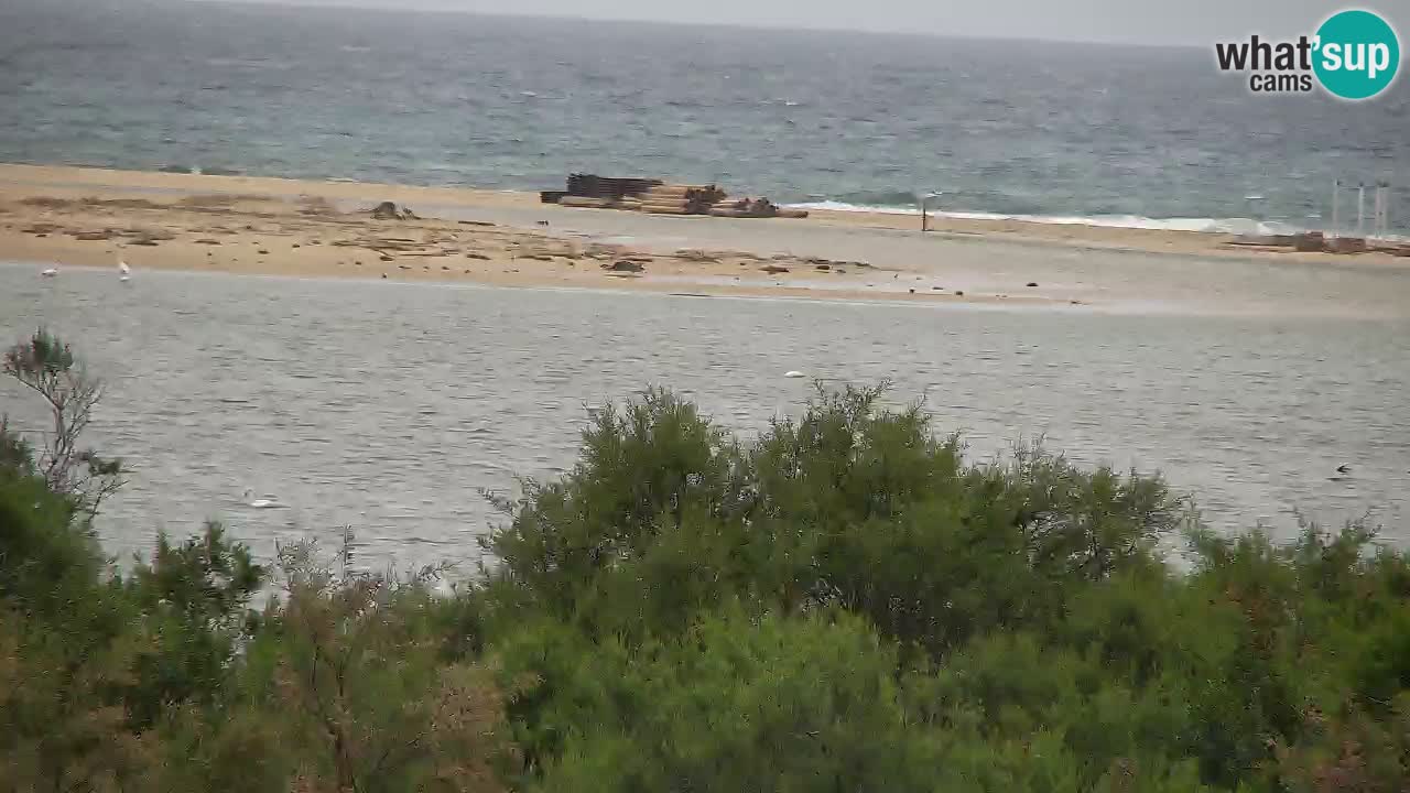 Webcam Chia – Live View of Su Giudeu Beach