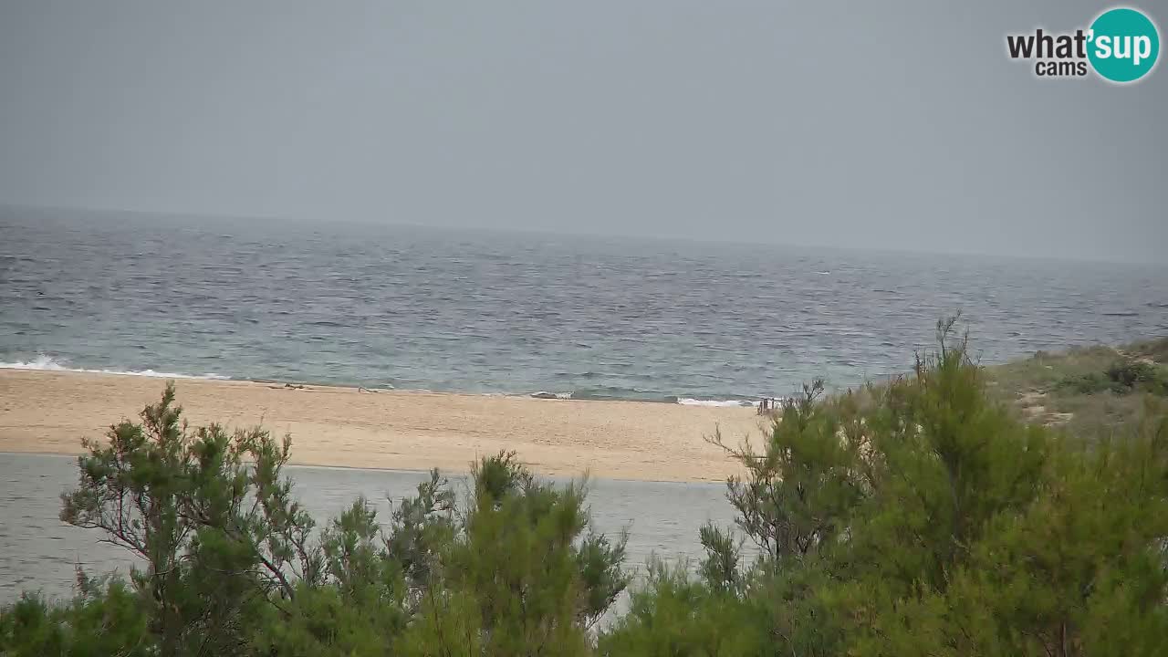 Webcam Chia – Live View of Su Giudeu Beach