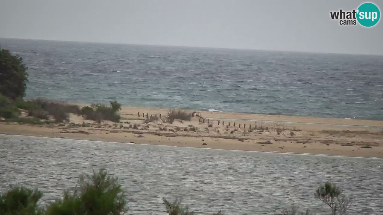 Webcam Chia – Live View of Su Giudeu Beach