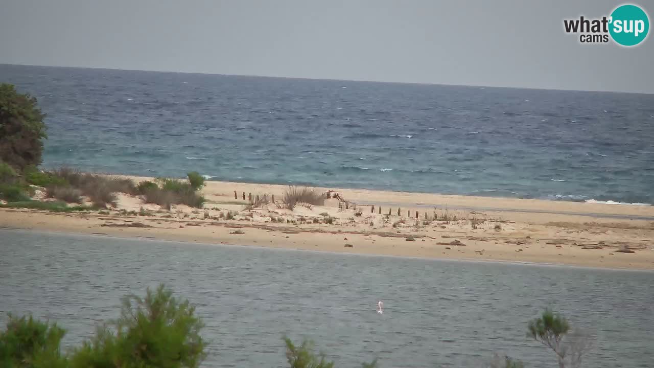 Spletna kamera Chia – Pogled v živo na plažo Su Giudeu