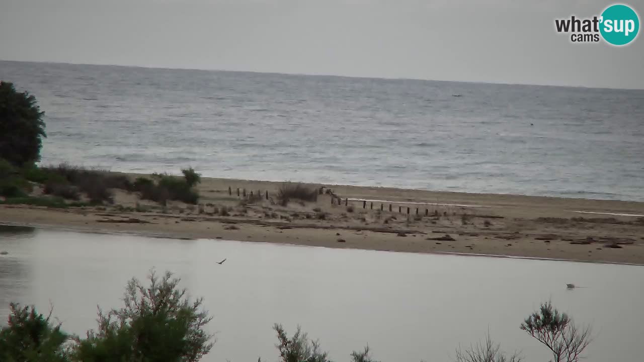 Webcam Chia – Vue en direct de la plage Su Giudeu