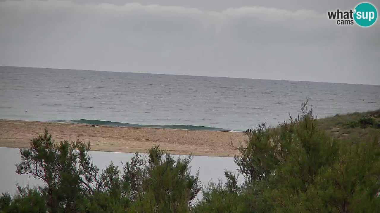 Webcam Chia – Live View of Su Giudeu Beach