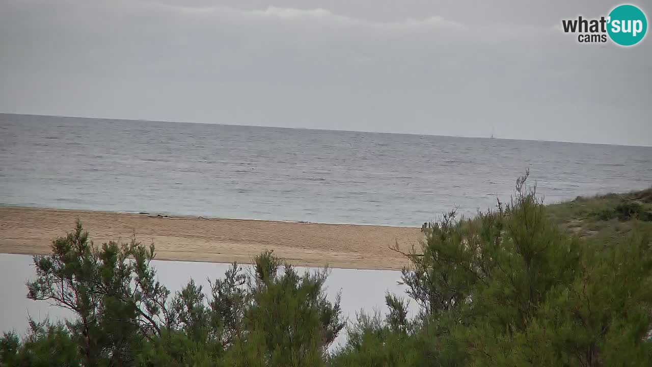 Web kamera Chia – Pogled uživo na plažu Su Giudeu