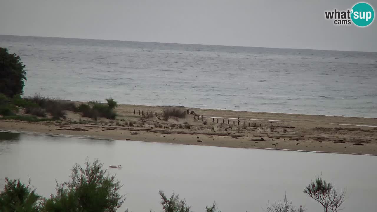 Webcam Chia – Liveblick auf den Strand Su Giudeu