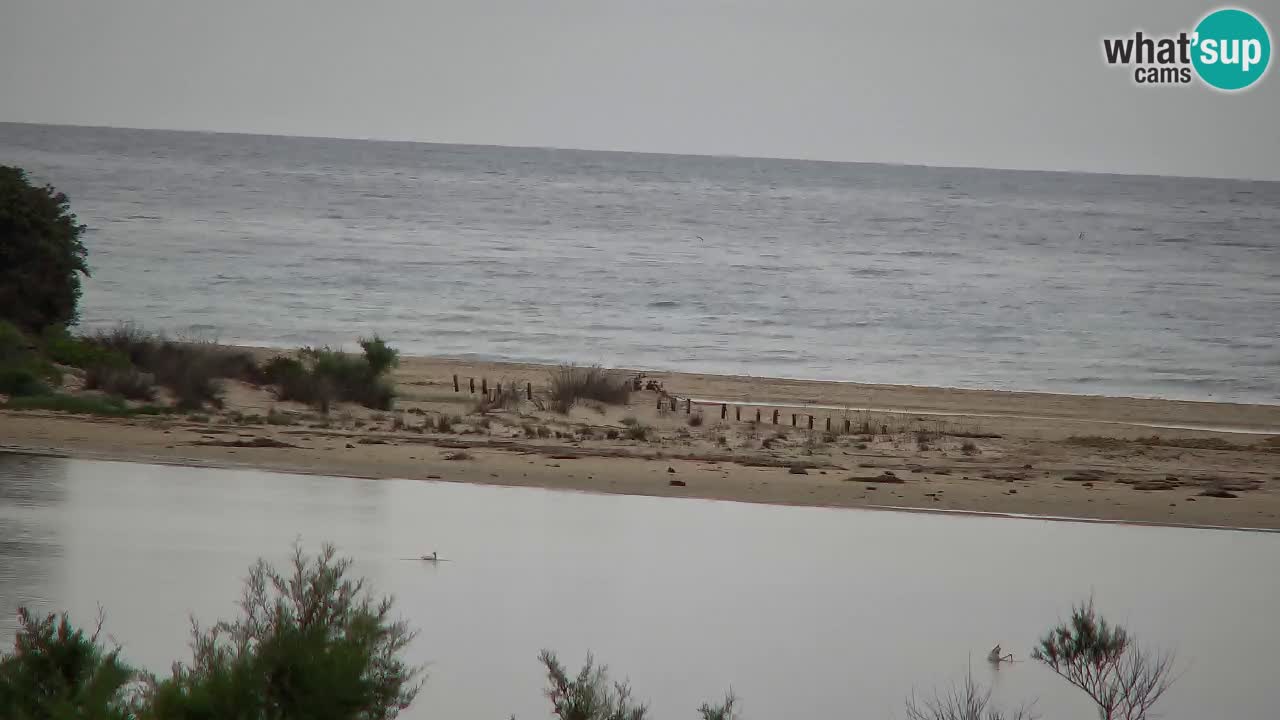 Webcam Chia – Live View of Su Giudeu Beach