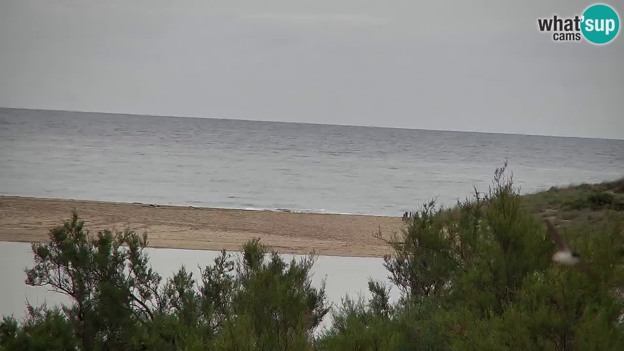 Webcam Chia – Live View of Su Giudeu Beach