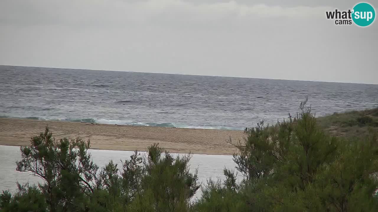 Webcam Chia – Live View of Su Giudeu Beach