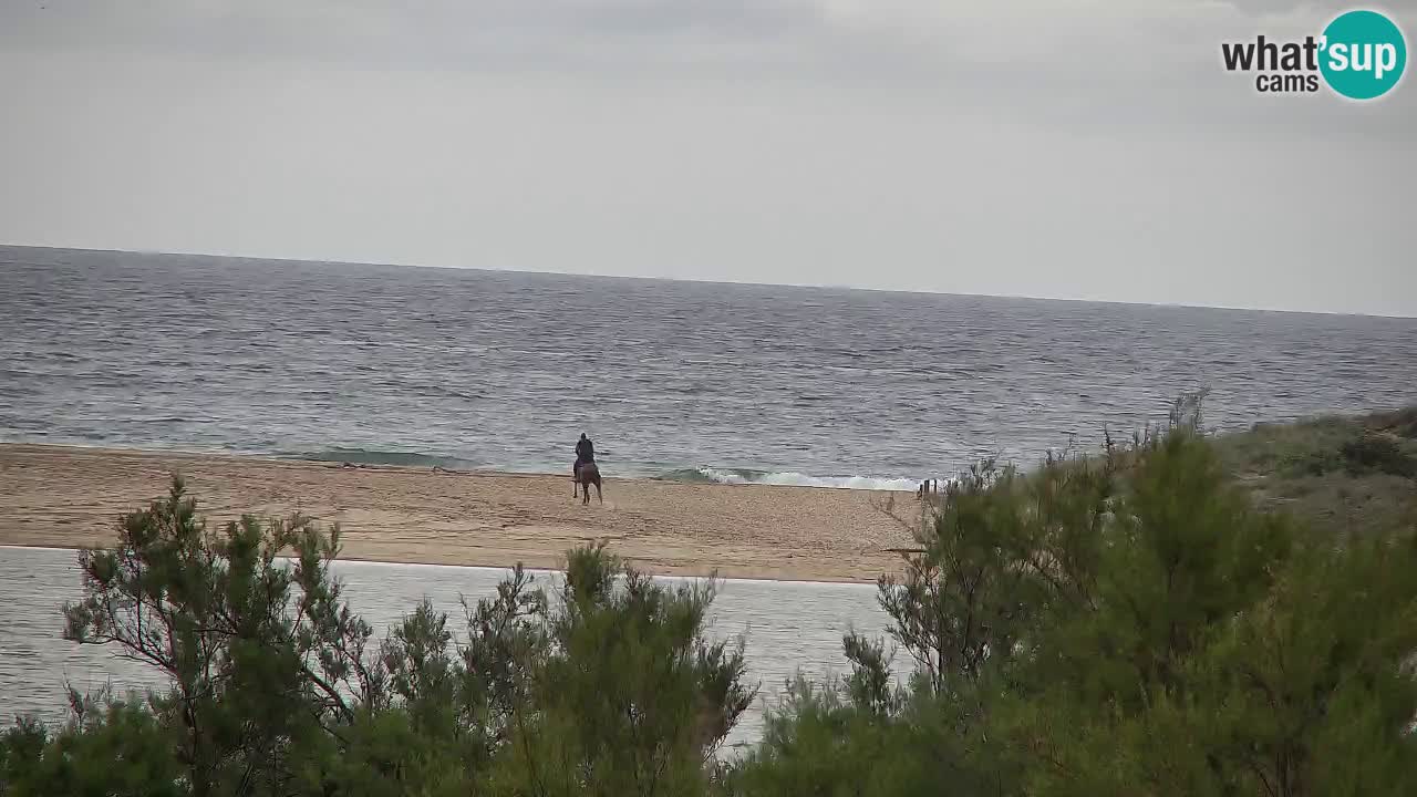 Webcam Chia – Live View of Su Giudeu Beach