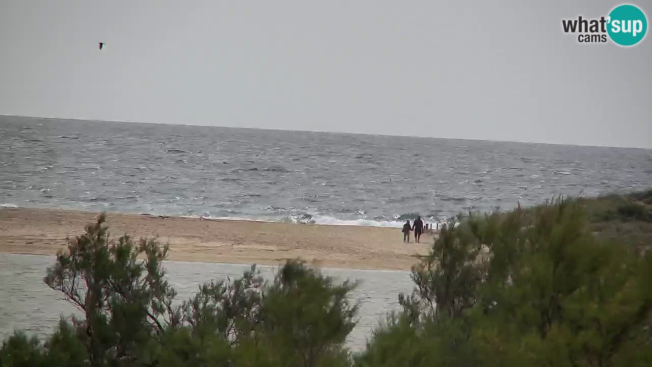 Webcam Chia – Live View of Su Giudeu Beach