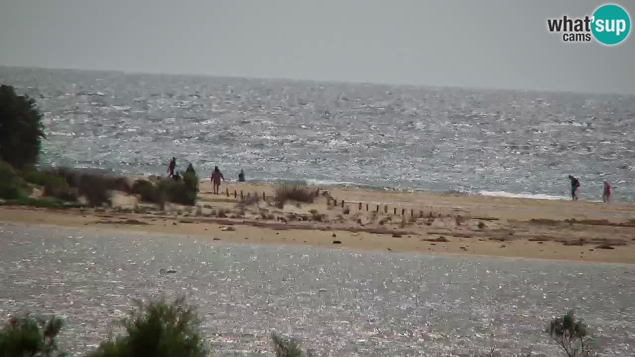 Webcam Chia – Vista en directo de la playa Su Giudeu