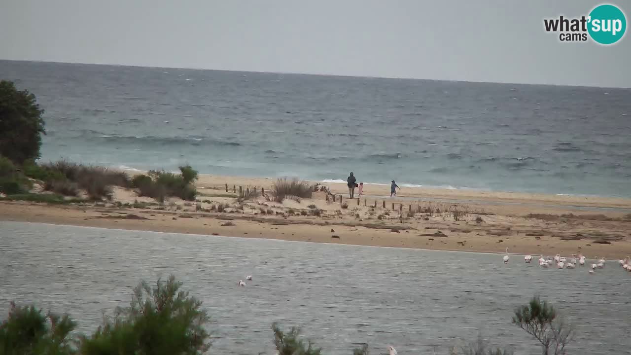 Webcam Chia – Live View of Su Giudeu Beach