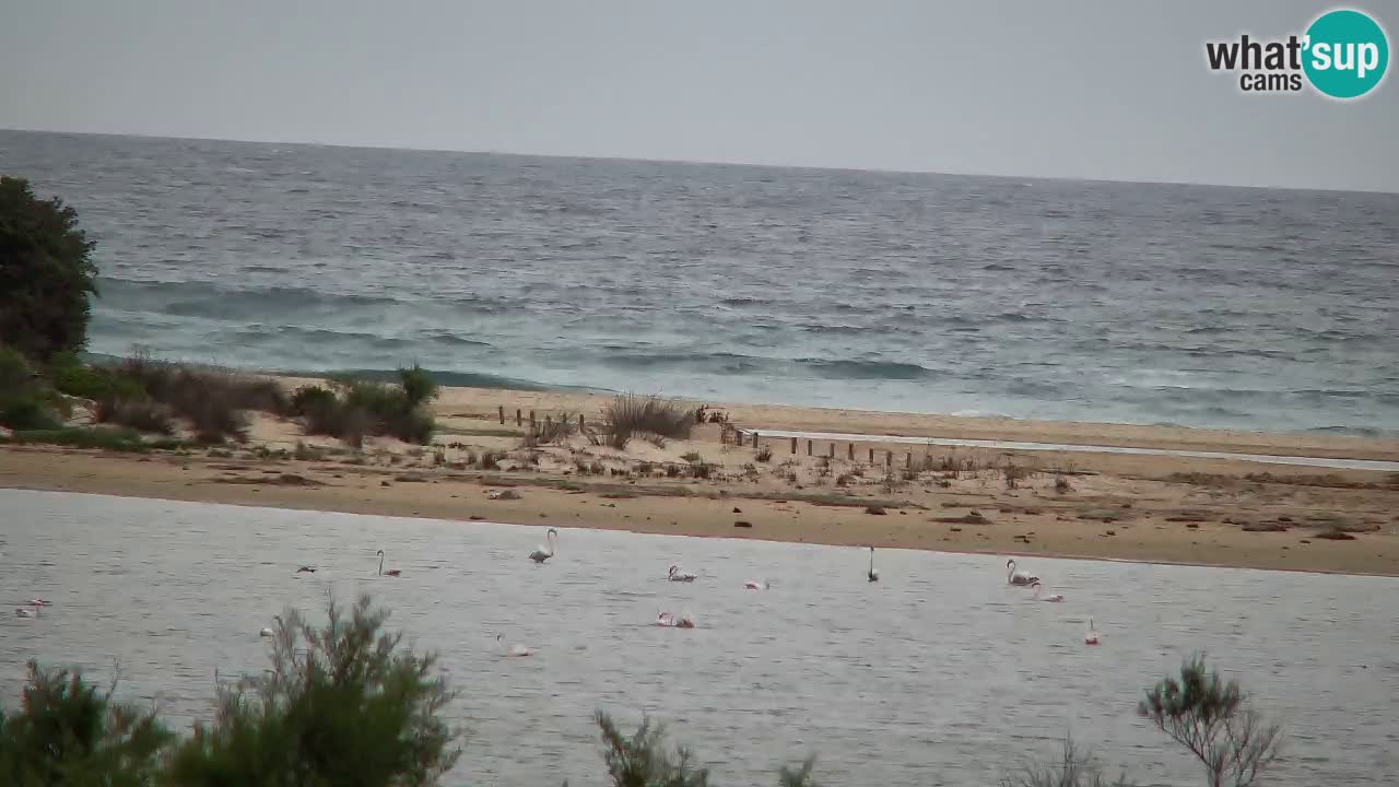 Webcam Chia – Live View of Su Giudeu Beach