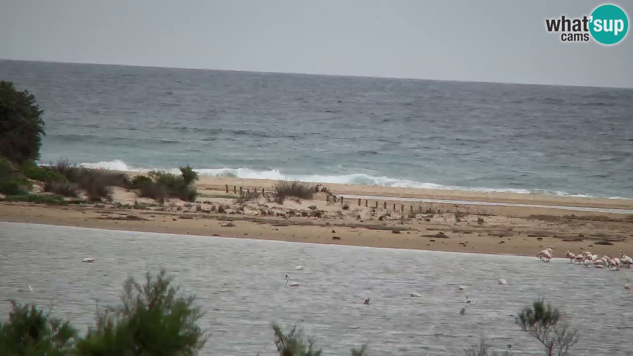 Spletna kamera Chia – Pogled v živo na plažo Su Giudeu