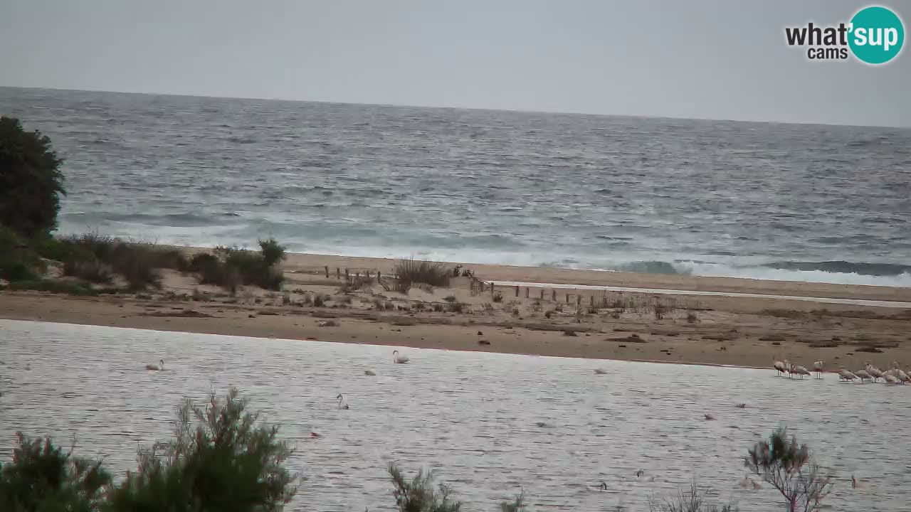 Webcam Chia – Liveblick auf den Strand Su Giudeu