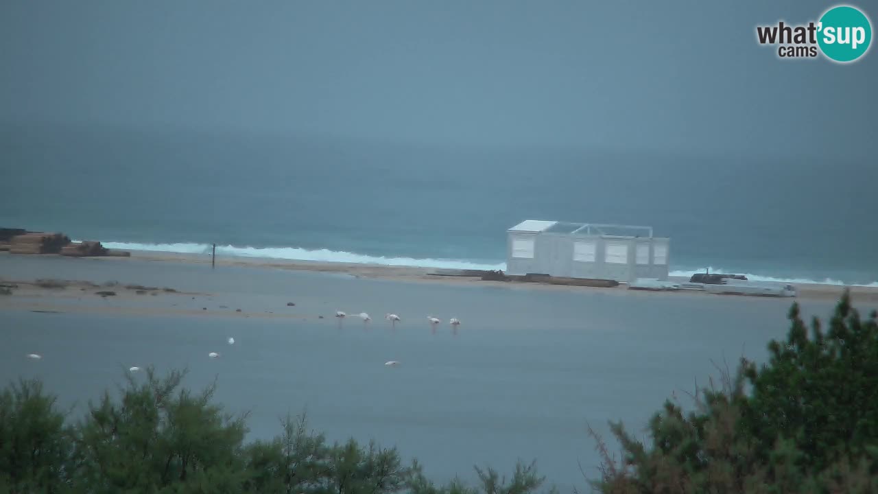 Webcam Chia – Vue en direct de la plage Su Giudeu