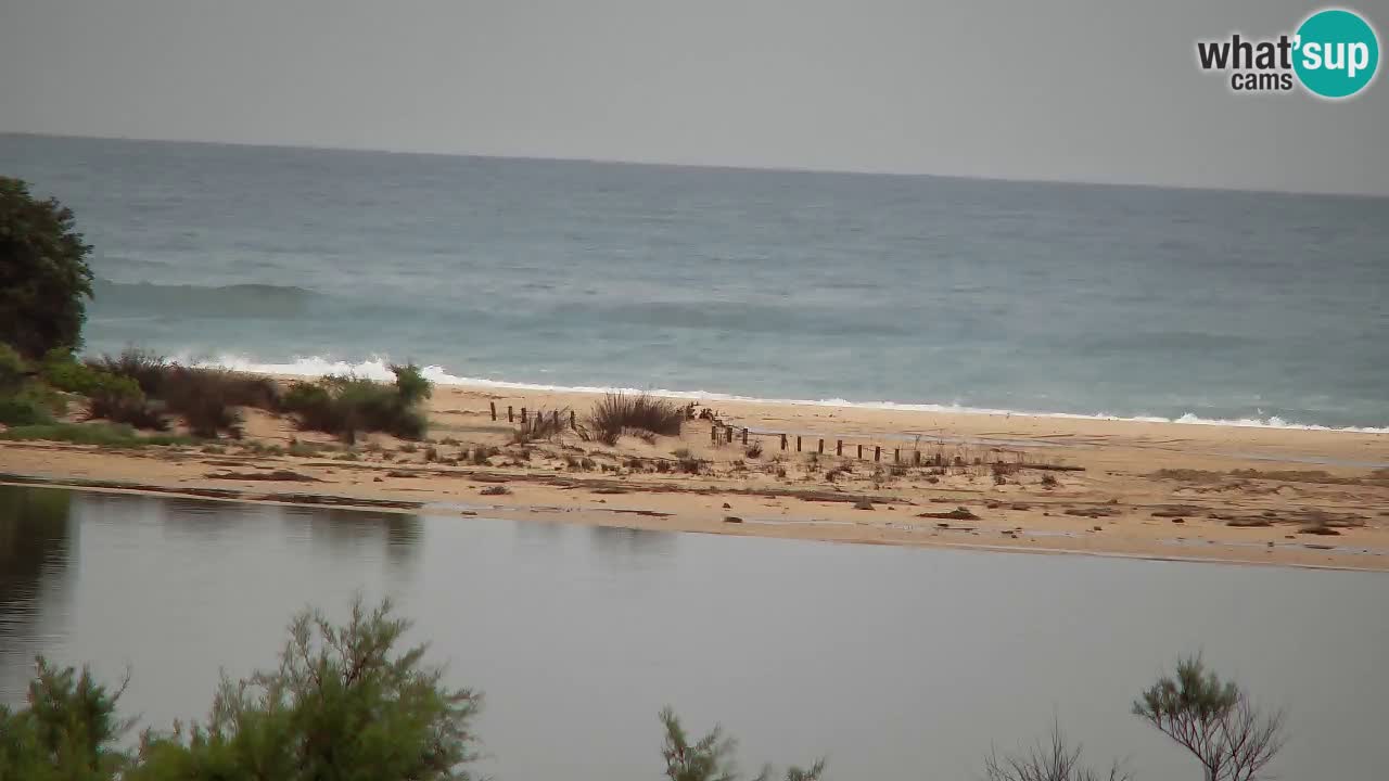 Webcam Chia – Live View of Su Giudeu Beach