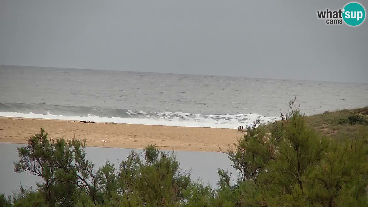 Webcam Chia – Vista en directo de la playa Su Giudeu