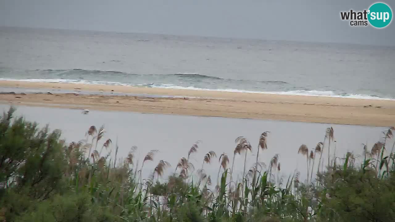 Webcam Chia – Spiaggia Su Giudeu in diretta