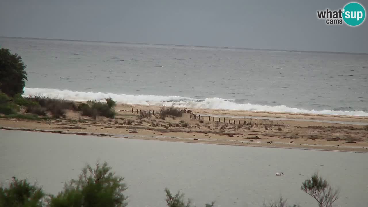 Webcam Chia – Vue en direct de la plage Su Giudeu