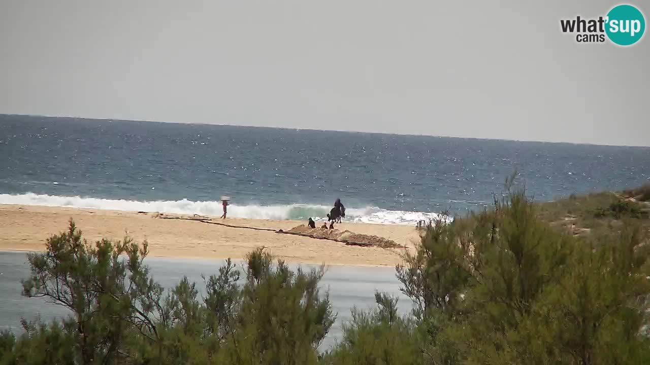 Webcam Chia – Live View of Su Giudeu Beach