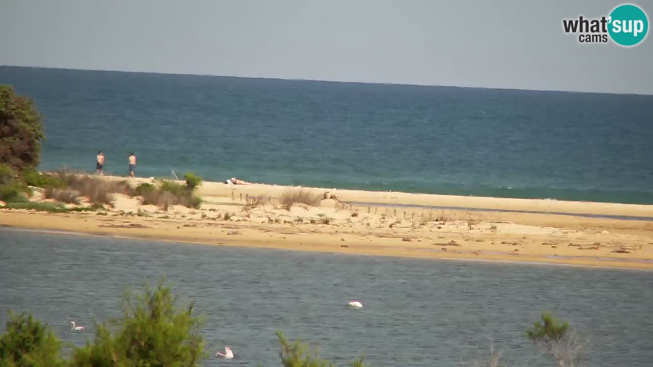 Web kamera Chia – Pogled uživo na plažu Su Giudeu