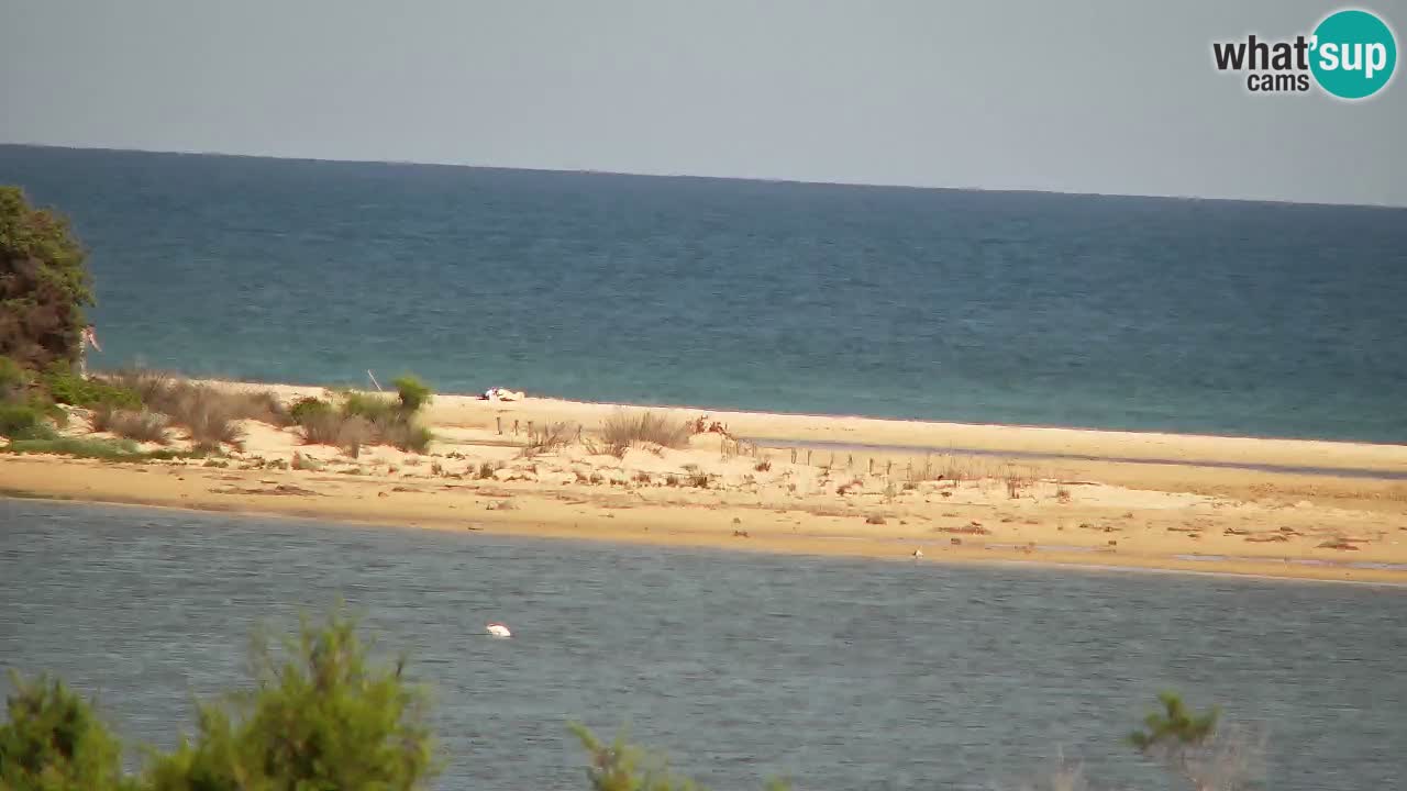 Webcam Chia – Live View of Su Giudeu Beach