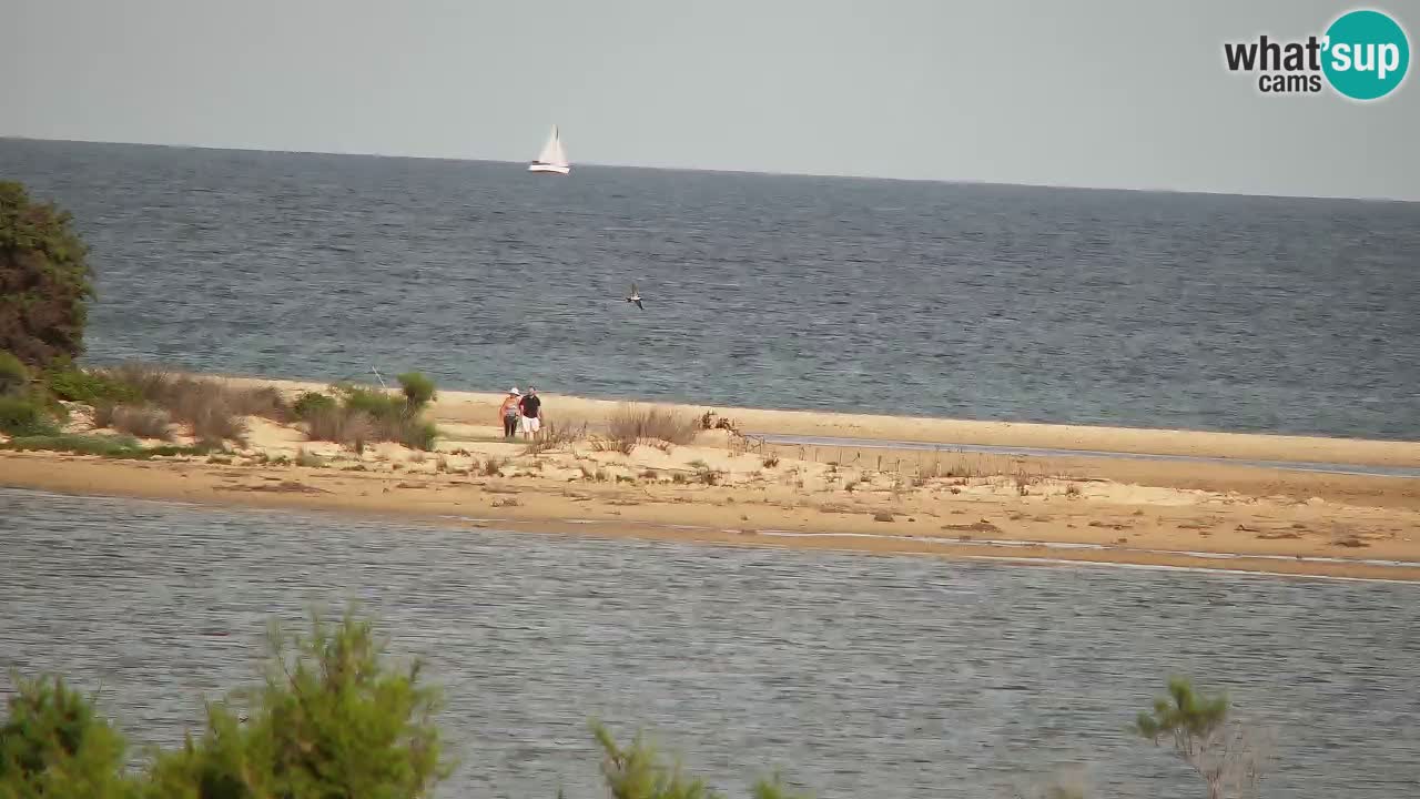 Spletna kamera Chia – Pogled v živo na plažo Su Giudeu