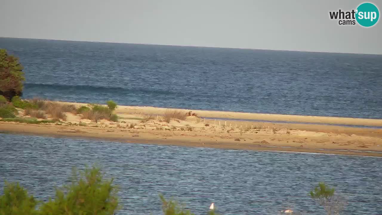 Webcam Chia – Vista en directo de la playa Su Giudeu