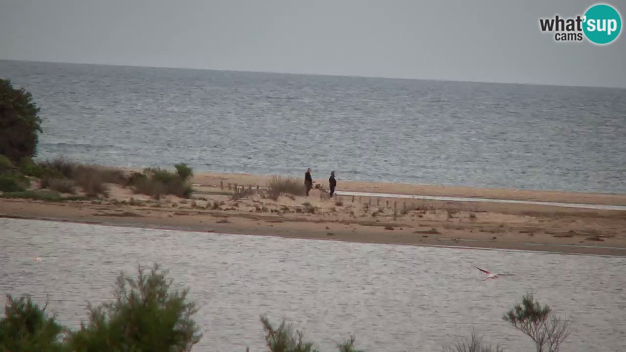 Spletna kamera Chia – Pogled v živo na plažo Su Giudeu