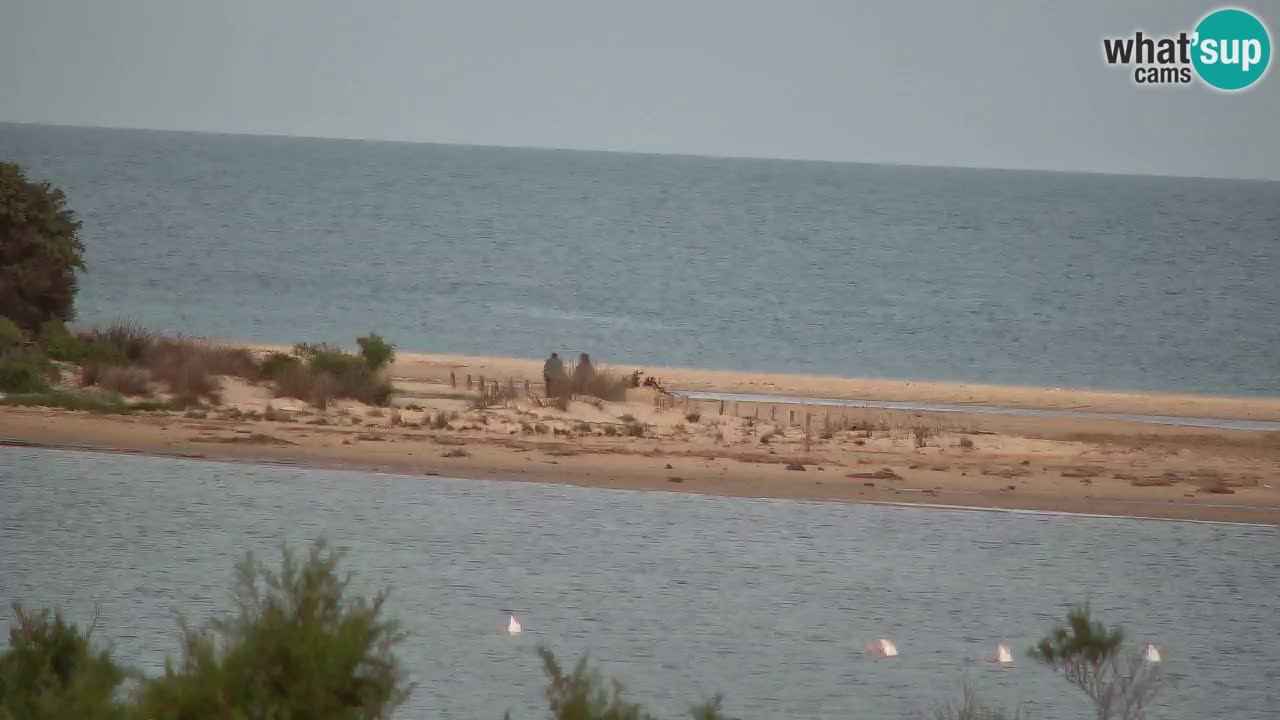 Webcam Chia – Live View of Su Giudeu Beach