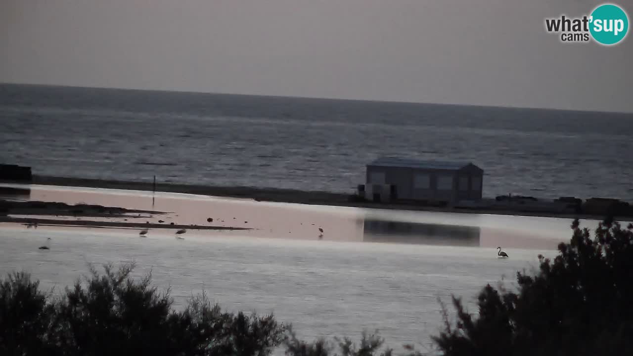 Webcam Chia – Live View of Su Giudeu Beach