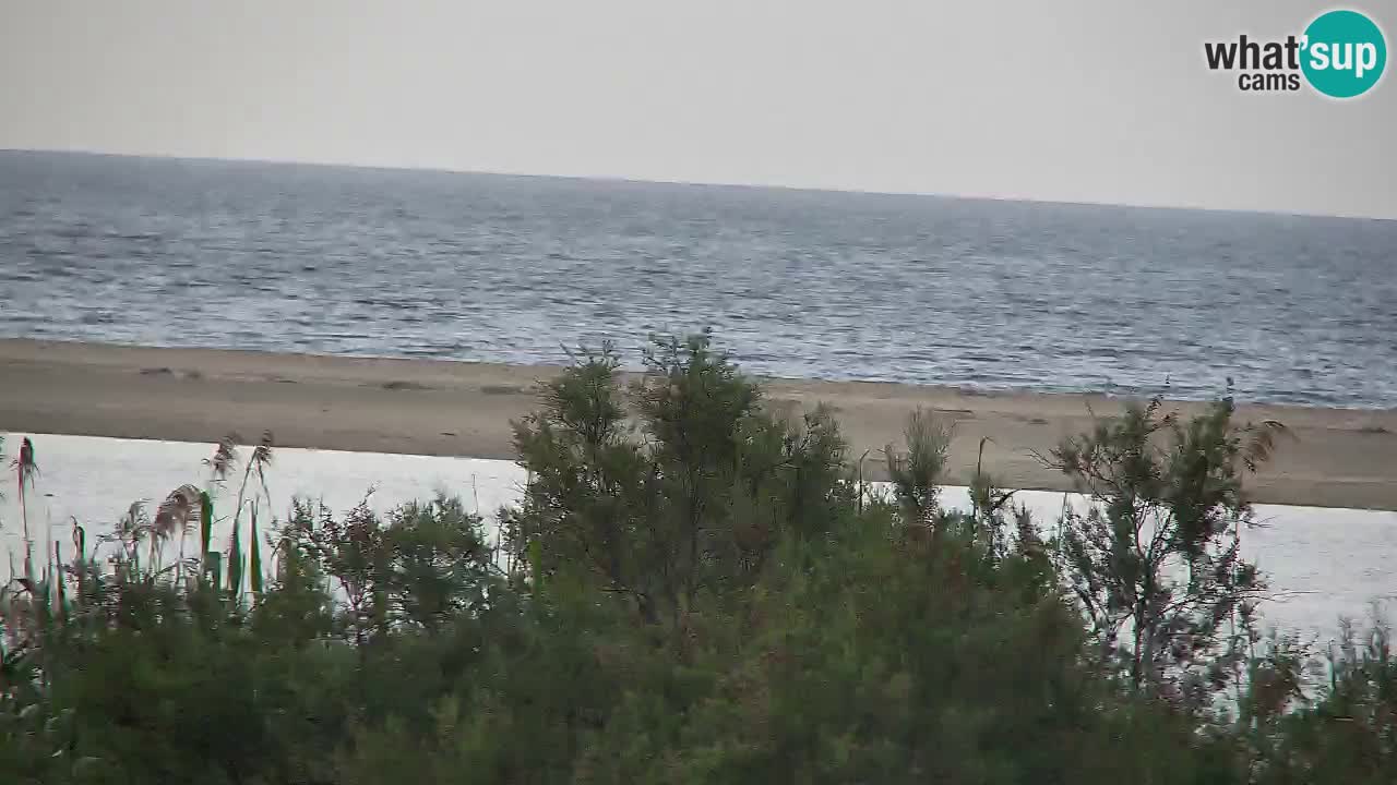 Webcam Chia – Live View of Su Giudeu Beach