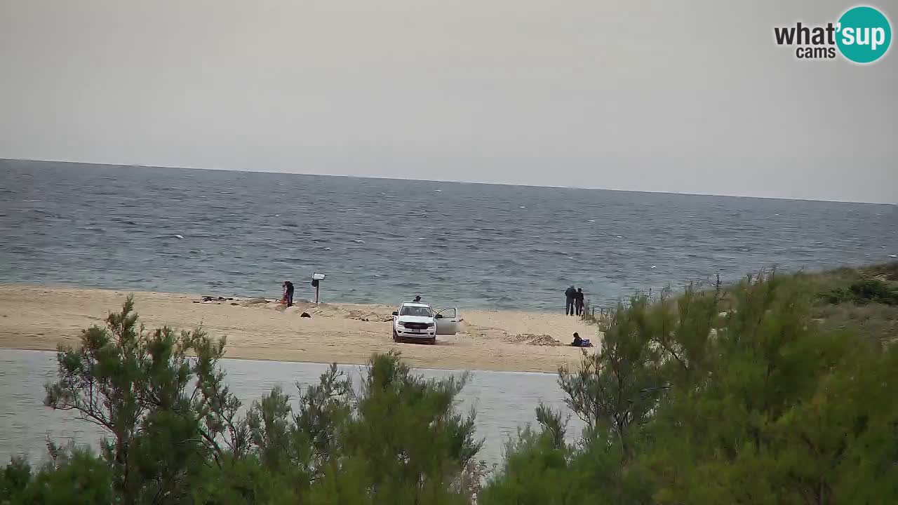 Webcam Chia – Live View of Su Giudeu Beach