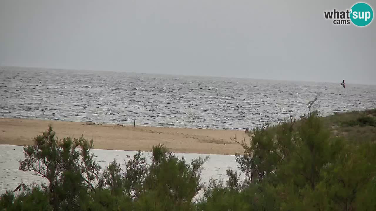 Webcam Chia – Spiaggia Su Giudeu in diretta
