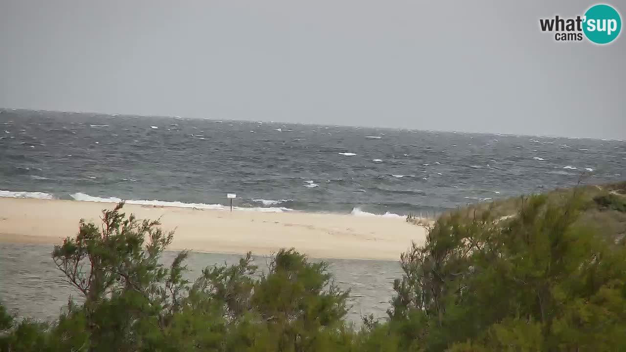Webcam Chia – Live View of Su Giudeu Beach