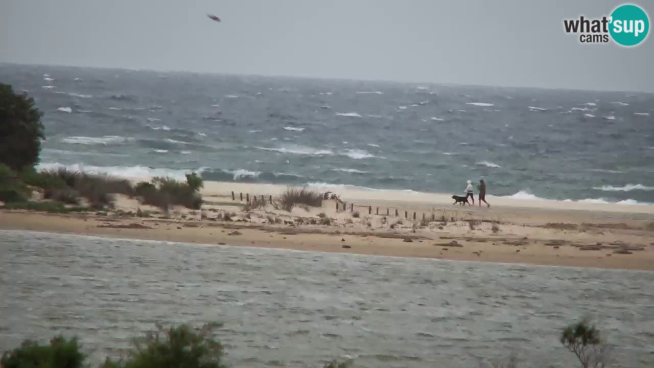 Webcam Chia – Live View of Su Giudeu Beach