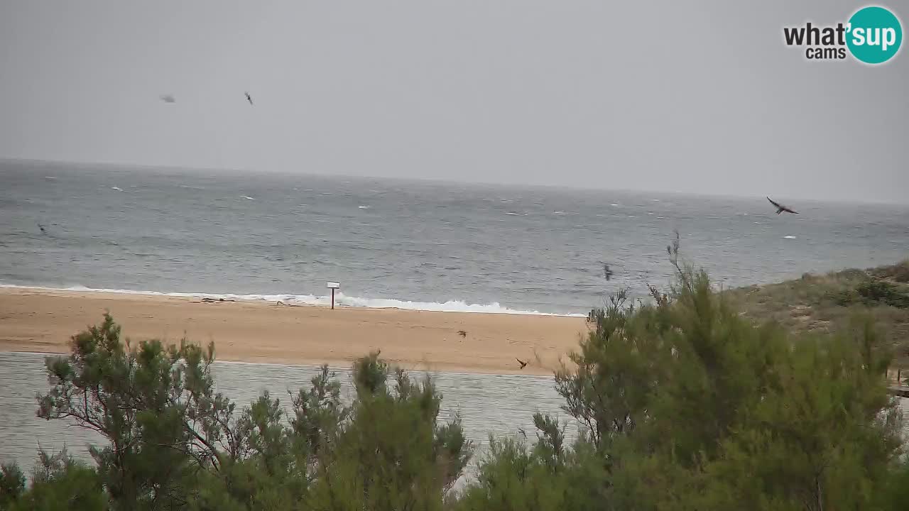Webcam Chia – Liveblick auf den Strand Su Giudeu