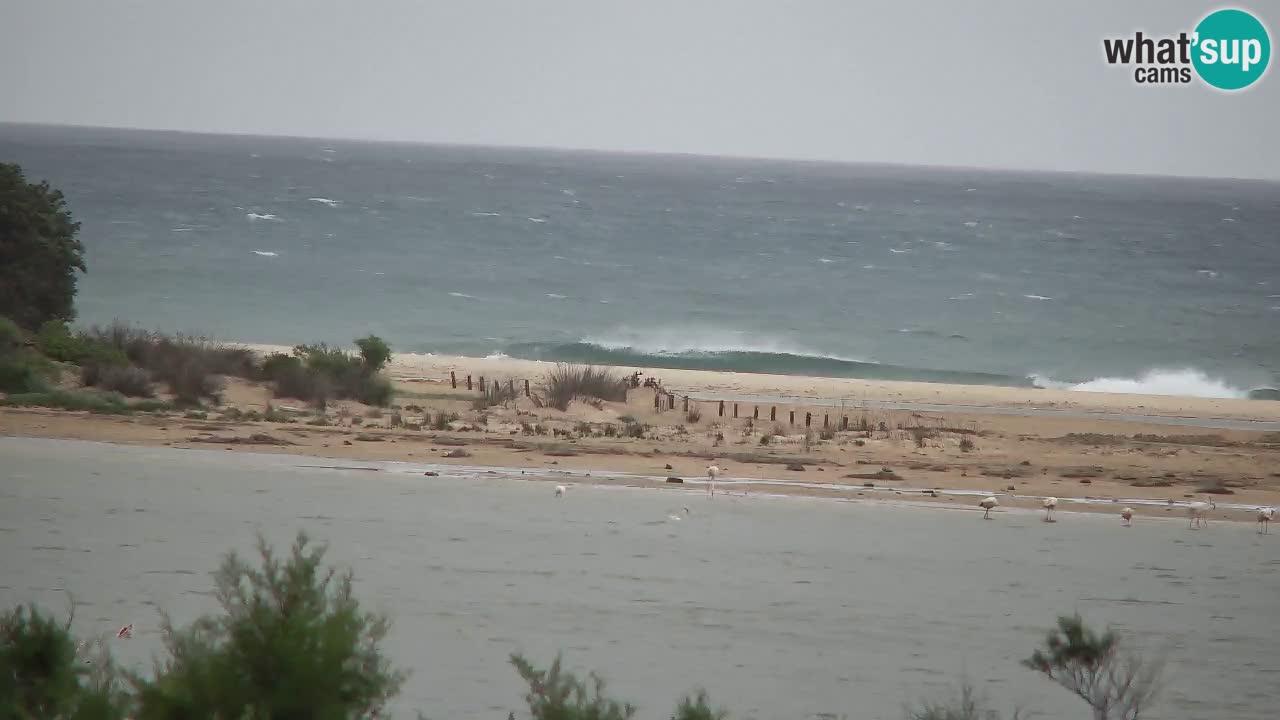 Webcam Chia – Spiaggia Su Giudeu in diretta