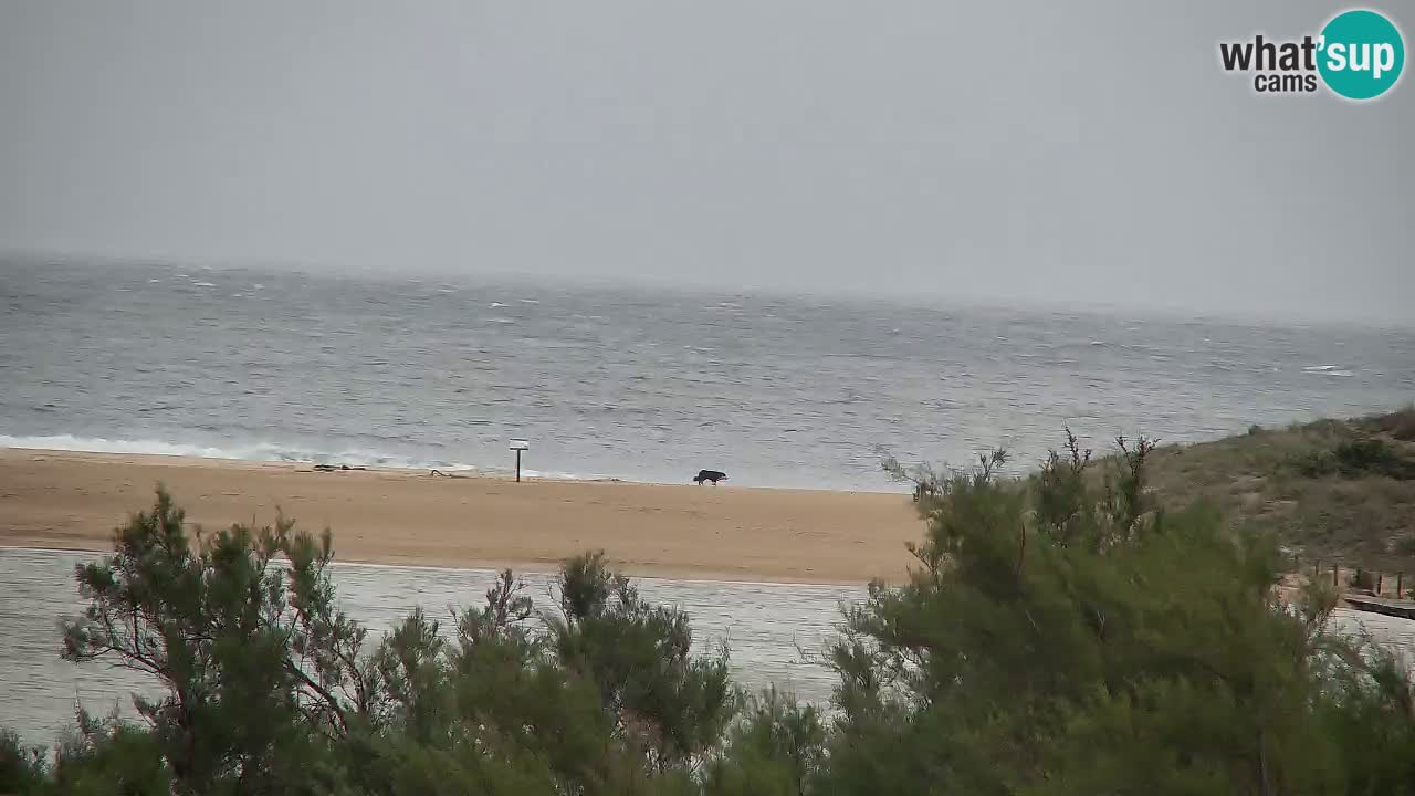 Webcam Chia – Vue en direct de la plage Su Giudeu