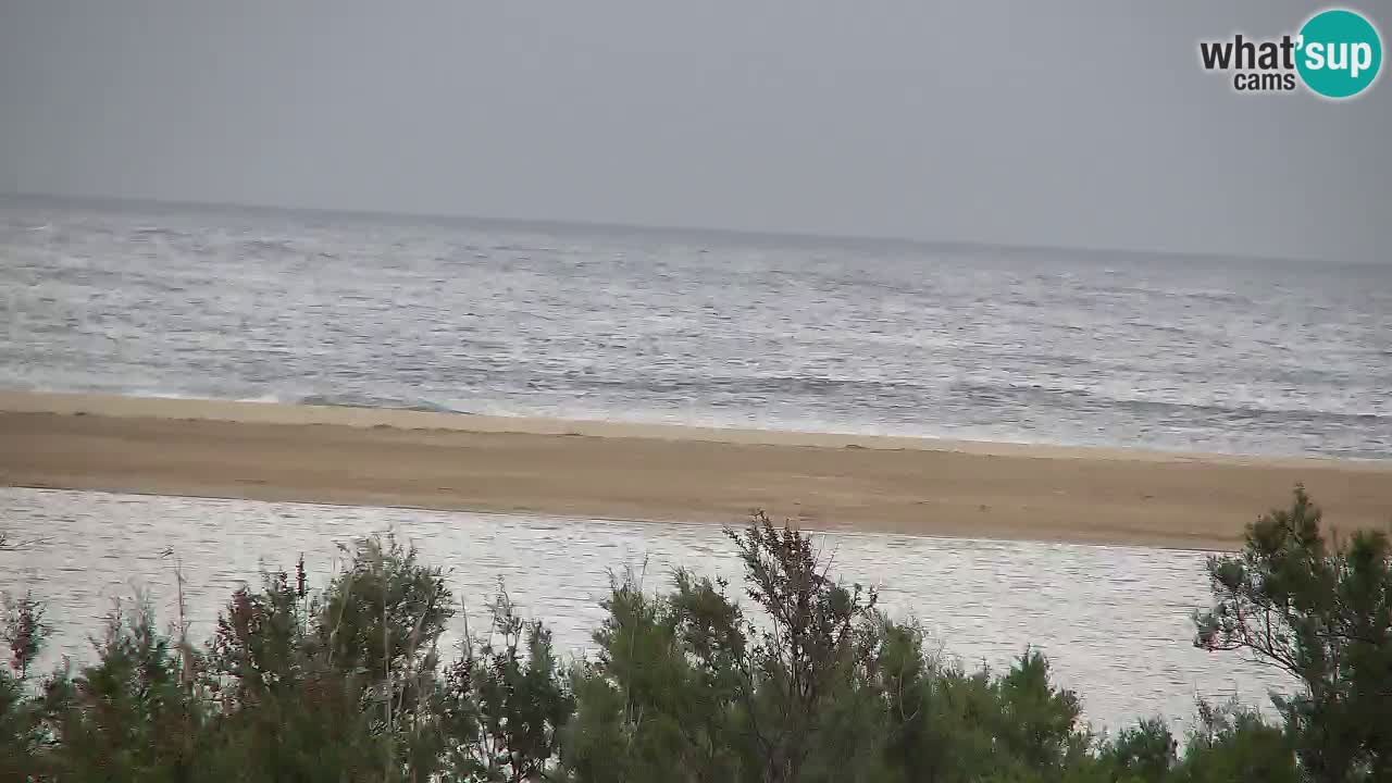Webcam Chia – Live View of Su Giudeu Beach