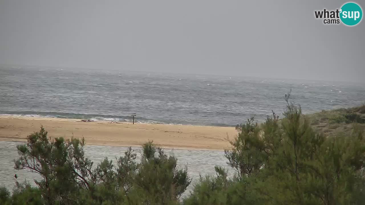 Webcam Chia – Live View of Su Giudeu Beach