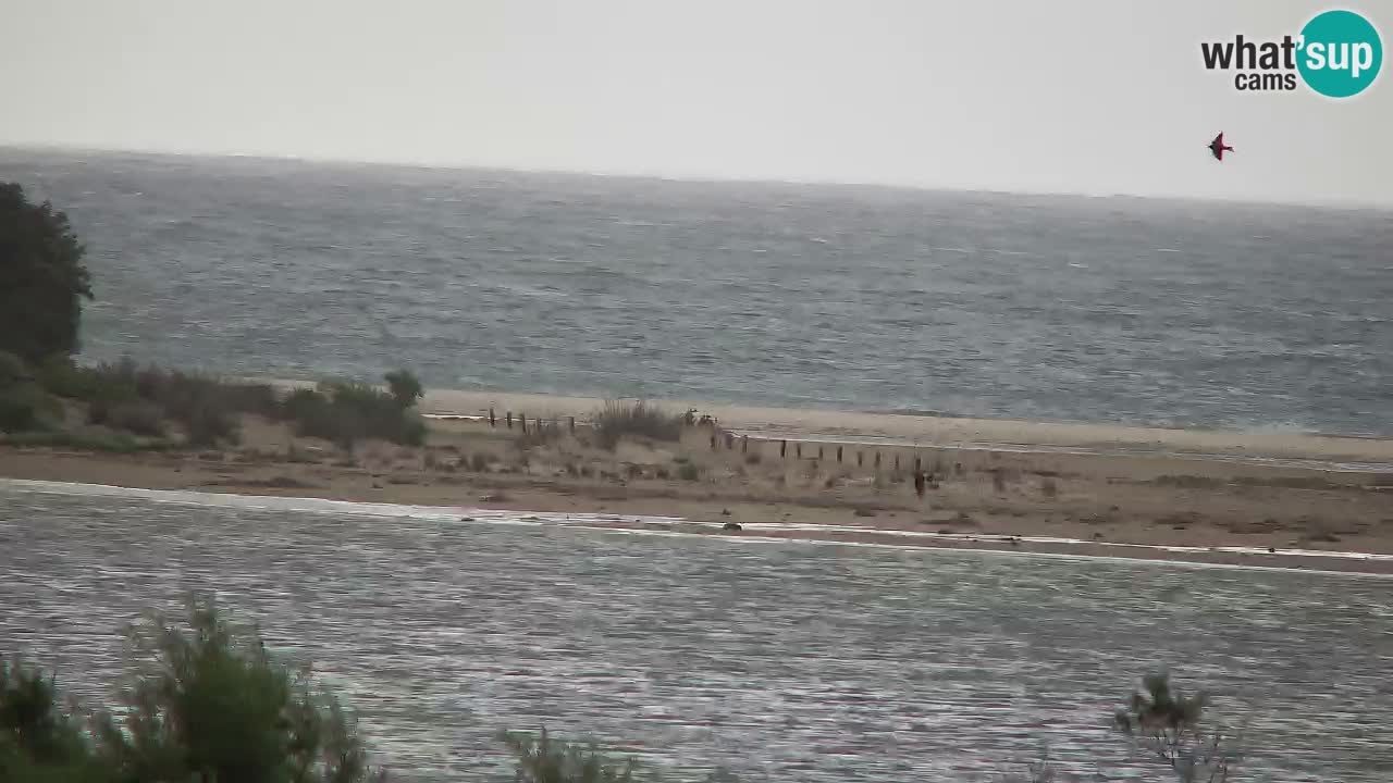 Webcam Chia – Liveblick auf den Strand Su Giudeu