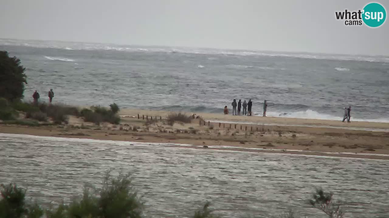 Webcam Chia – Live View of Su Giudeu Beach