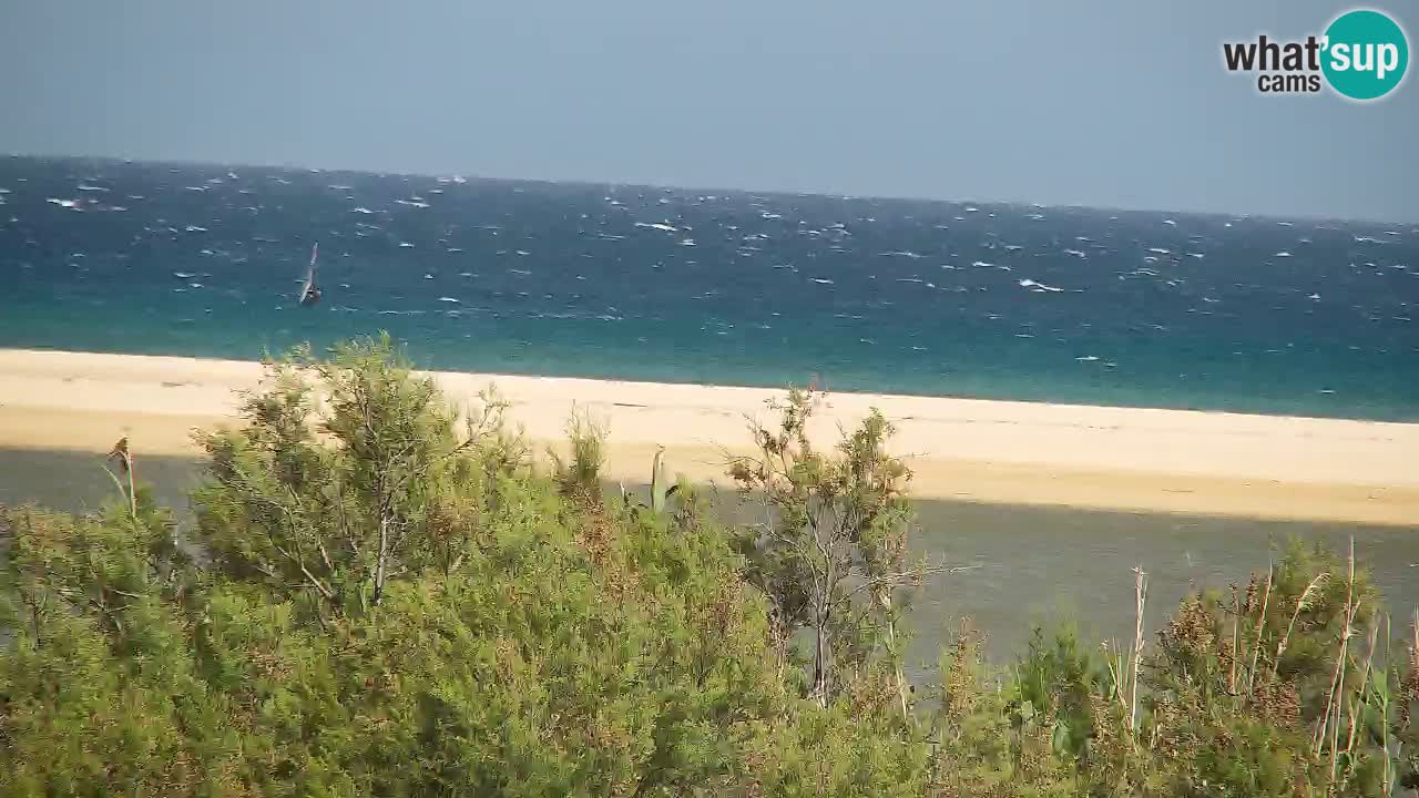 Webcam Chia – Vista en directo de la playa Su Giudeu