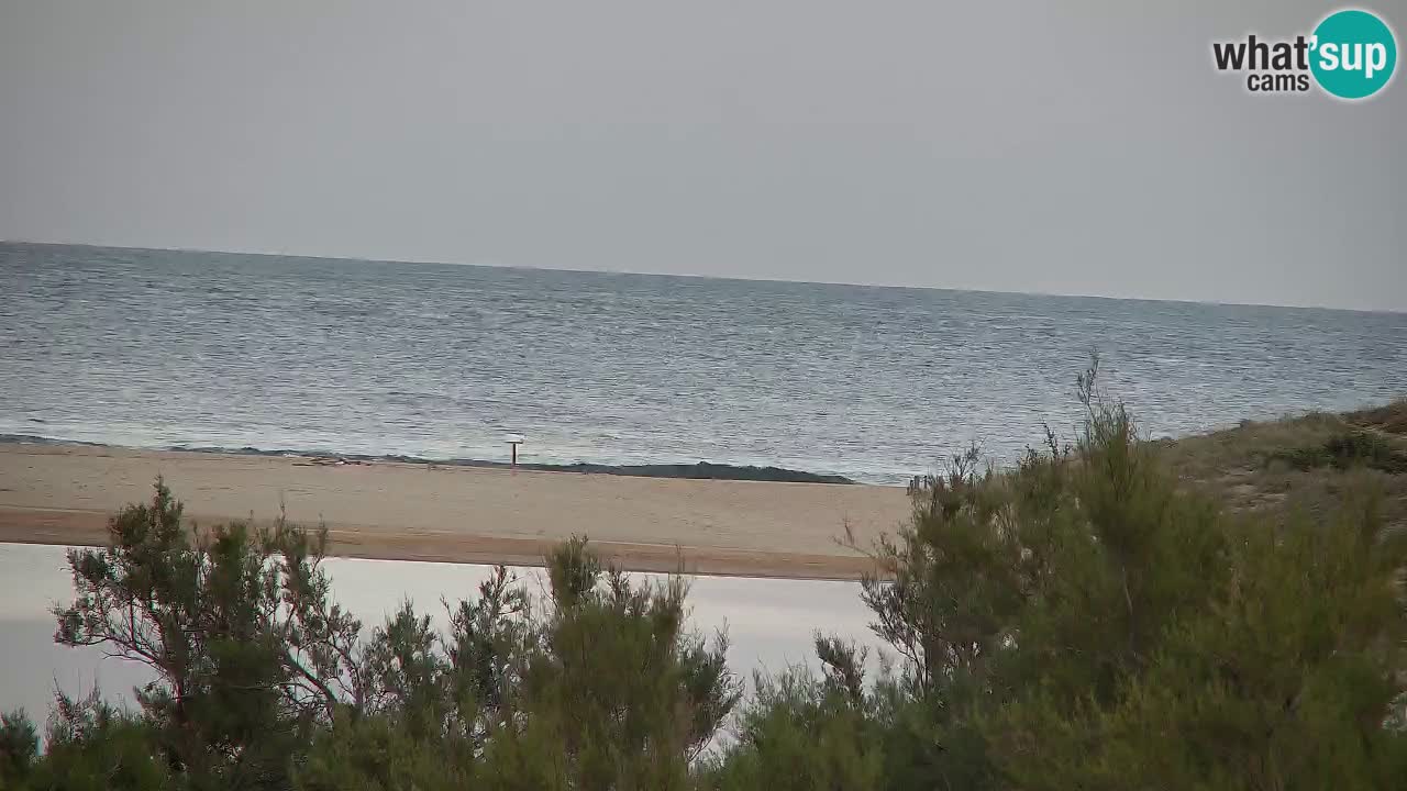 Webcam Chia – Vue en direct de la plage Su Giudeu