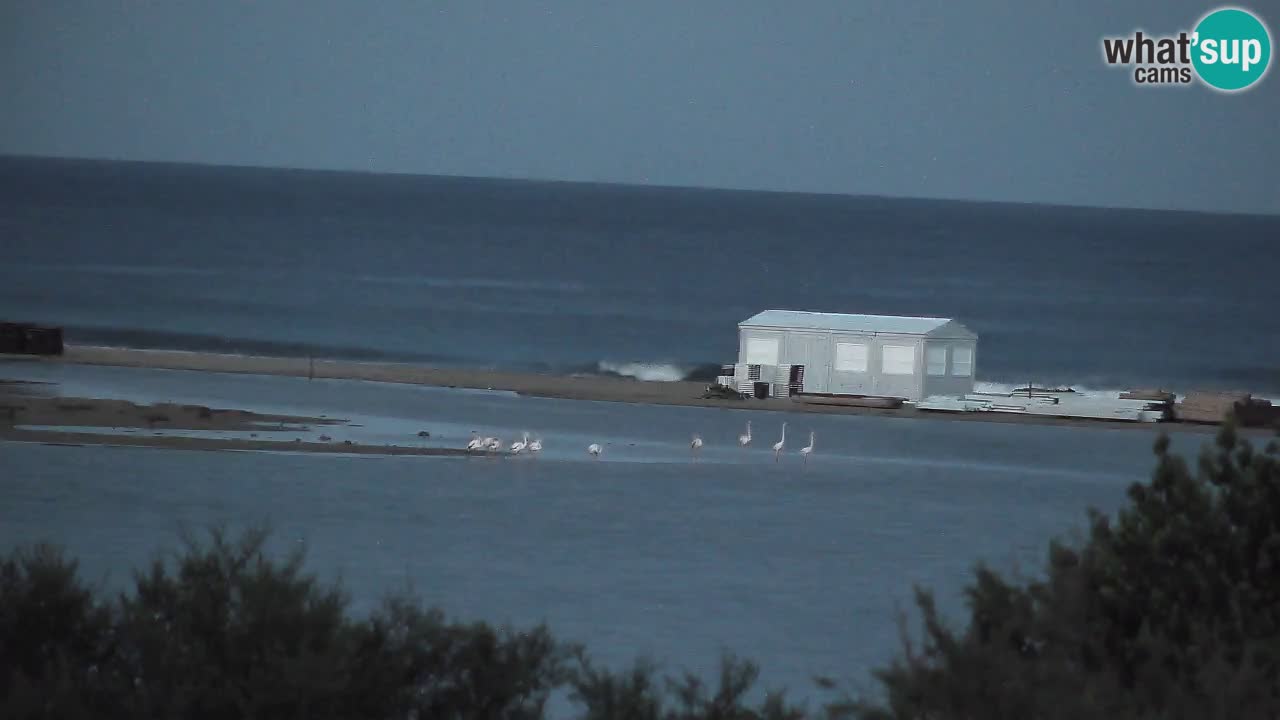 Webcam Chia – Vue en direct de la plage Su Giudeu