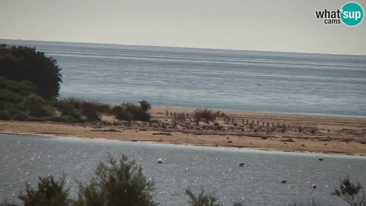 Spletna kamera Chia – Pogled v živo na plažo Su Giudeu