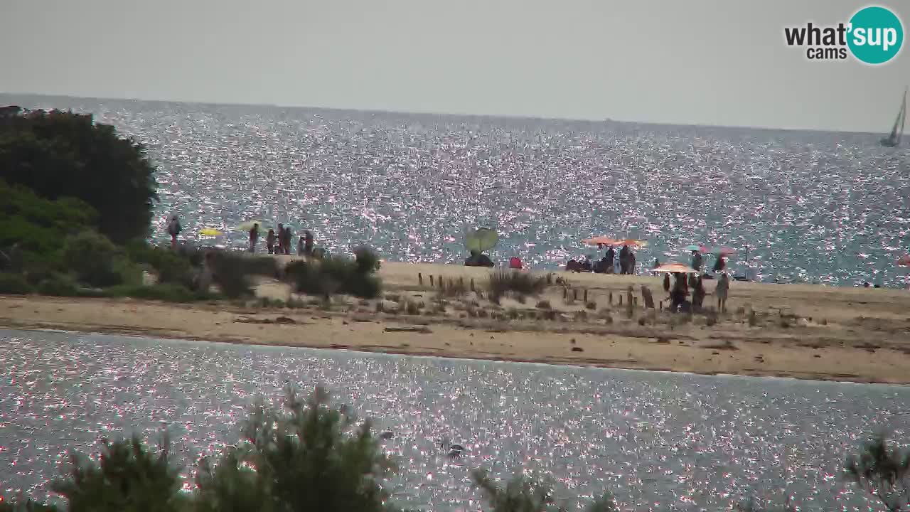 Web kamera Chia – Pogled uživo na plažu Su Giudeu
